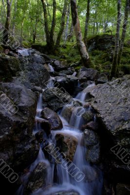 Scotland nature for walkers