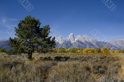 Grand Teton National Park