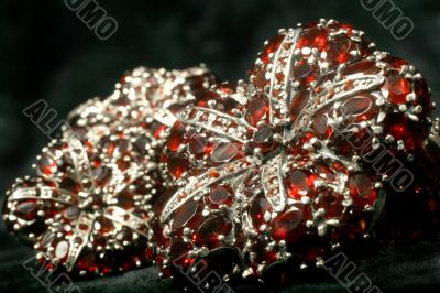Pomegranates in silver