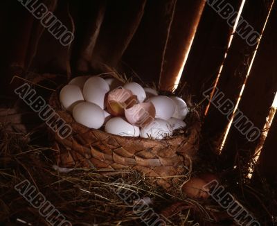 eggs in a basket