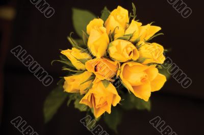 bunch of flowers