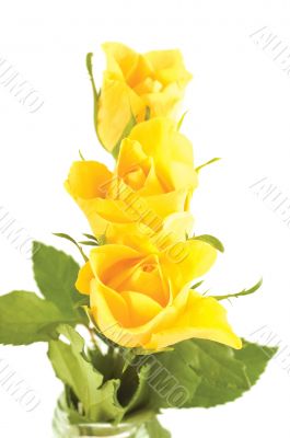 bunch of flowers