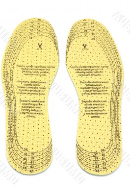 insole shoe