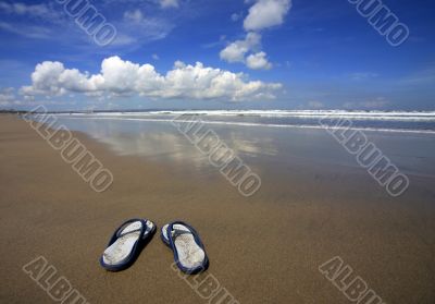 Female slippers