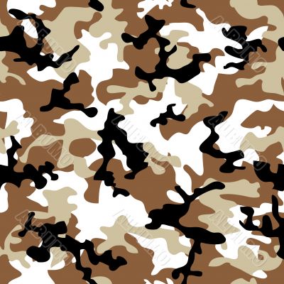 camouflage desert