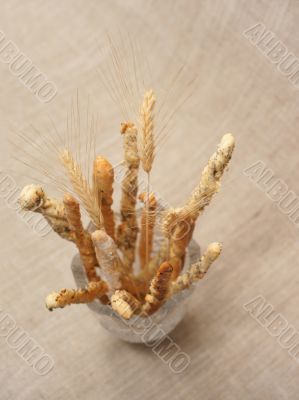 Wheatear and breadsticks in vase