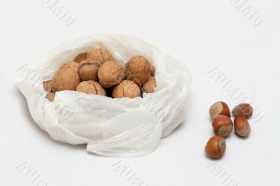 nuts - hazelnut, walnut