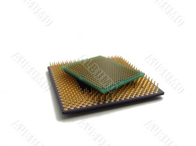 two cpus on white background.