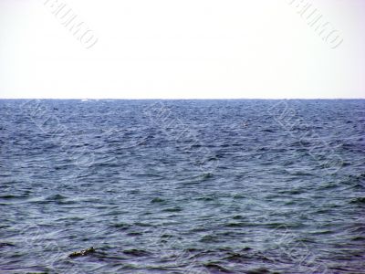 Waterscape
