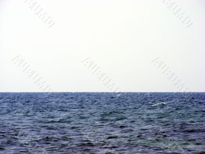 Waterscape