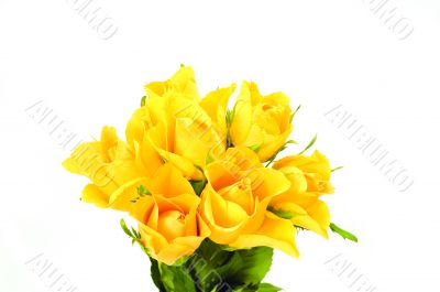 bunch of flowers
