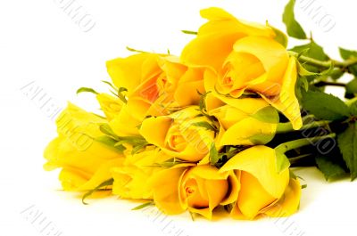 bunch of flowers