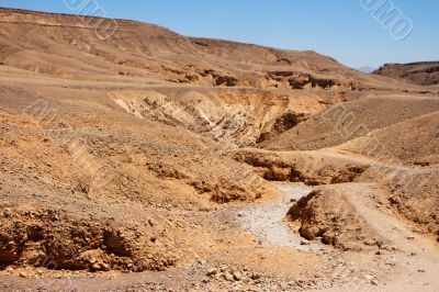 Desert landscape