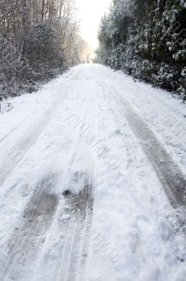 Snowy lane