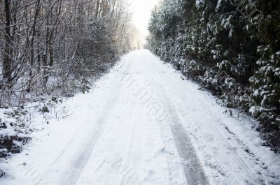 Snowy lane