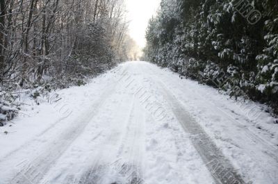 Snowy lane