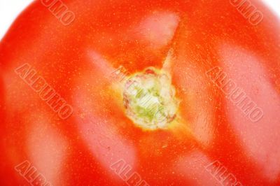 close up of tomato
