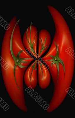 tomatoes distortion
