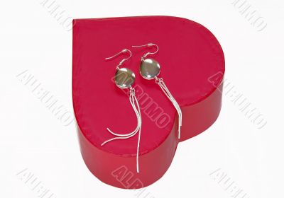 Silver earrings gift