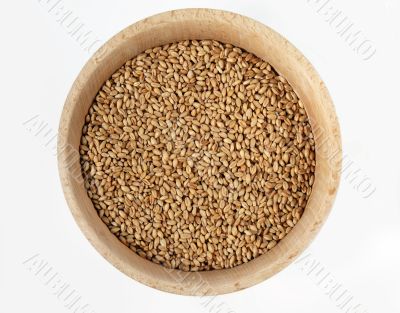 Wheat in wooden bowl