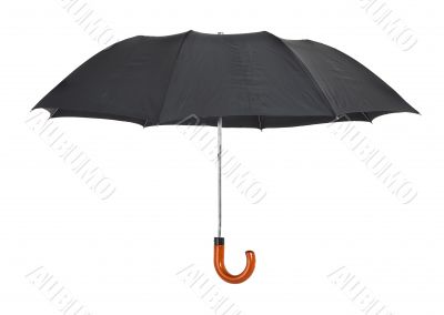 umbrella isolated