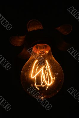 Antique Light Bulb