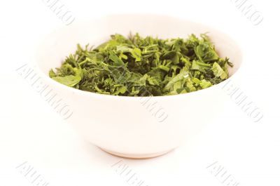 green spring herb