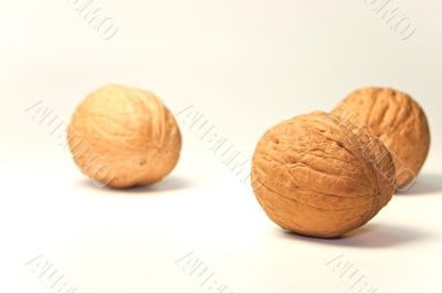 many nuts