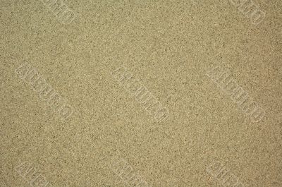 Wet sand