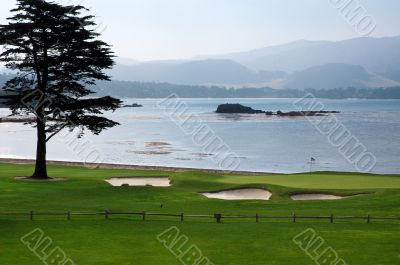 Golf field