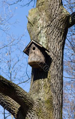 Starling-house