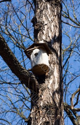 Starling-house