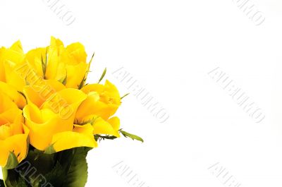 bunch of flowers with copy space