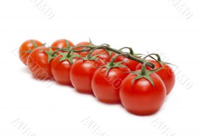 Red tomatoes cherry four