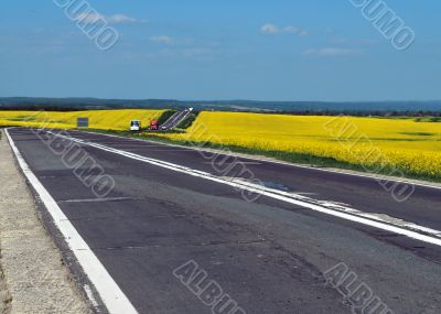 Yellow Field