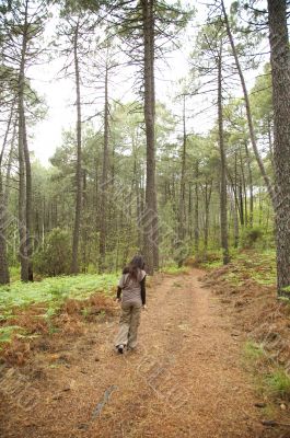 woman between great trees