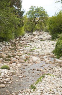 river full of stones