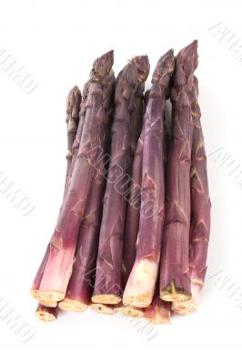 Purple Asparagus Spears