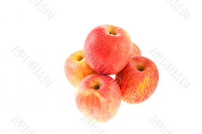 juicy red apples