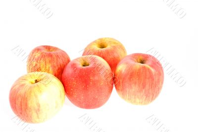 five red juicy apples