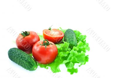 two and half tomatos and two cucumbers on leaves of lettuce