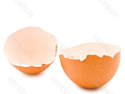 eggshell