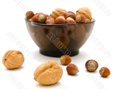 Hazelnuts and walnuts
