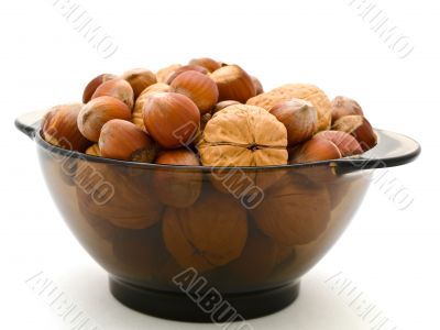 Hazelnuts and walnuts