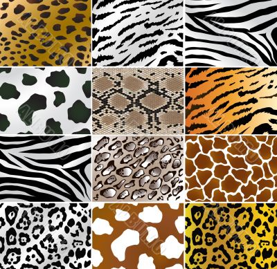 Animal skins