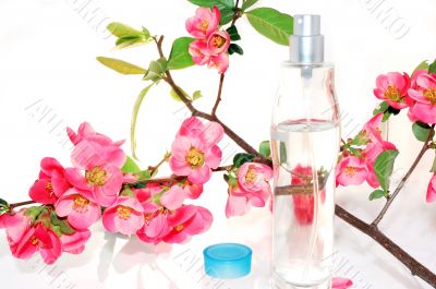 Perfume and rose