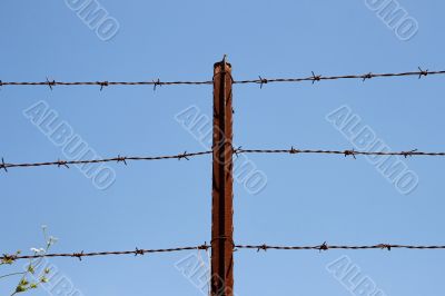 Three strands of barbed wire on rusty post