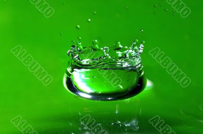 Water drop and splash on the fresh green shoot.