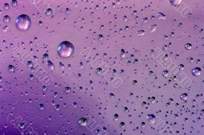 water-drops on violet background