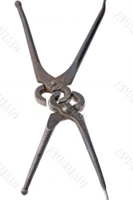 round pliers macro on white